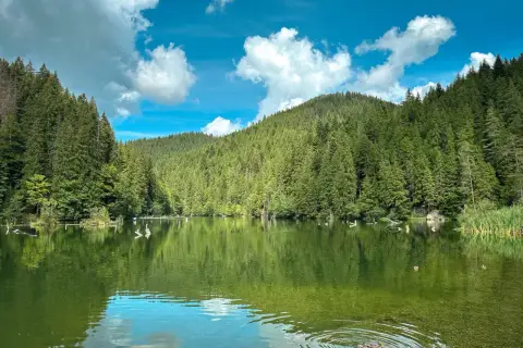 Spokojne jezioro w rumuńskich górach, otoczone gęstym lasem iglastym. Woda odbija niebo z białymi chmurami.