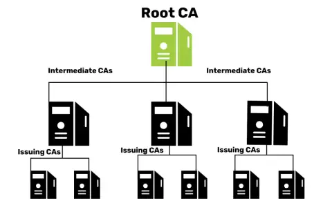 Schemat hierarchii PKI: Root CA, Intermediate CAs i Issuing CAs.