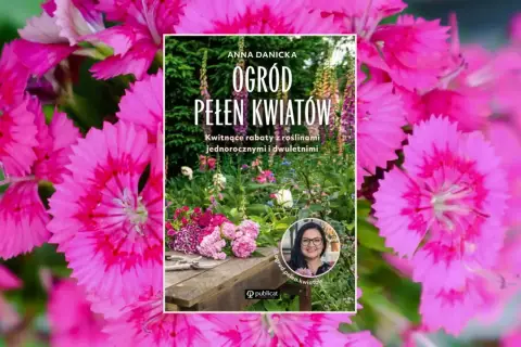 Różowe kwiaty otaczają okładkę książki "Ogród pełen kwiatów". Anna Danicka zaprasza do swojego kwitnącego ogrodu.