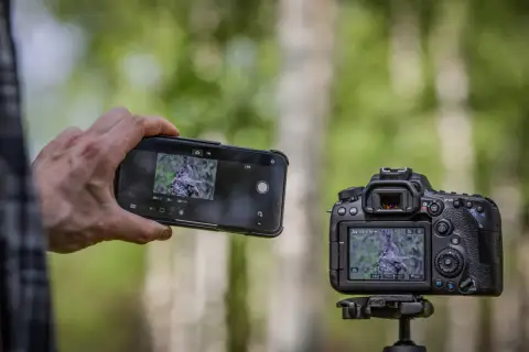 Dłoń trzyma smartfon z widokiem na sowę, obok aparat Canon EOS 90D również kadruje to samo zwierzę.
