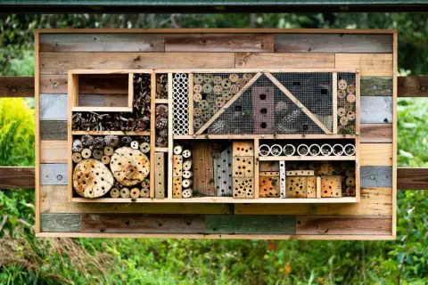 Ein **wildbienenhotel selber bauen** ist eine tolle Idee! Dieses Hotel bietet Nistplätze aus Holz, Röhren und Zapfen für Insekten.