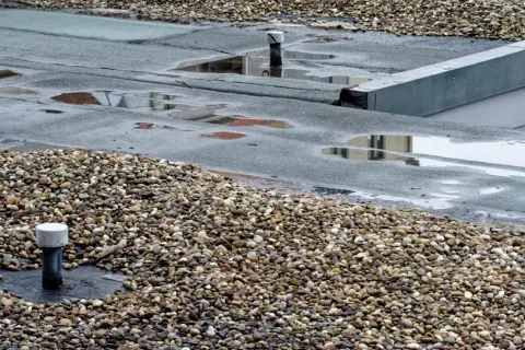Ein undichtes Flachdach mit stehendem Wasser und Kies. Feuchtigkeit kann zu Schimmelbildung führen.