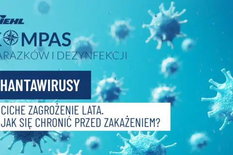 Hantawirusy: ciche zagrożenie lata. Dowiedz się, jak się chronić przed zakażeniem i jego objawami.