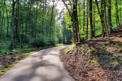 Najlepsze trasy rowerowe w Gdańsku, które musisz poznać i przejechać