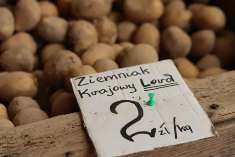 Ziemniak krajowy Lord. Cena ziemniaków 2 zł/kg.