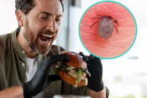 Mężczyzna z radością sięga po burgera, ale w tle kleszcz przypomina o ryzyku alergii na mięso wołowe po ukąszeniu kleszcza, czyli zespole alfa-gal.