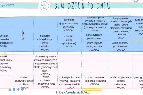 Plan rozszerzania diety niemowlaka: tydzień 3 i 4. Propozycje posiłków z warzyw, owoców, kasz i ryb.