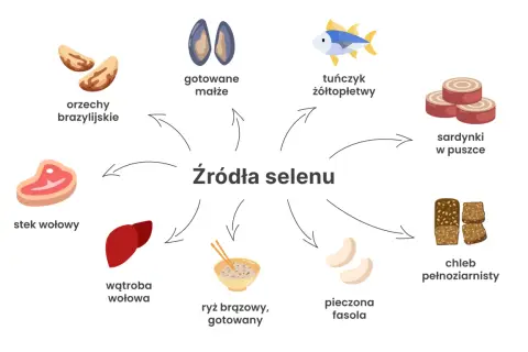 Kiedy brać selen i cynk? Oto źródła selenu: orzechy brazylijskie, małże, tuńczyk, sardynki, wołowina, wątroba, ryż, fasola i chleb pełnoziarnisty.