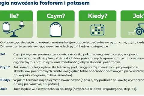 Jak stosować naturalny nawóz potasowy - skuteczne techniki