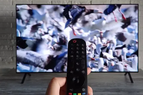 Pilot telewizyjny w dłoni, na ekranie telewizora stado ptaków. Wybieranie kanałów telewizyjnych.