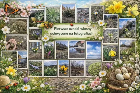 Kolaż zdjęć z pierwszymi oznakami wiosny: kwiaty, motyle, pisanki, bazie.
