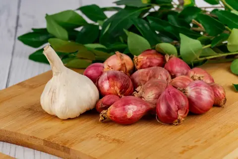 Knoblauch und Schalotten auf einem Holzbrett, bereit als Hausmittel gegen Ohrenschmerzen. Grüne Blätter im Hintergrund.
