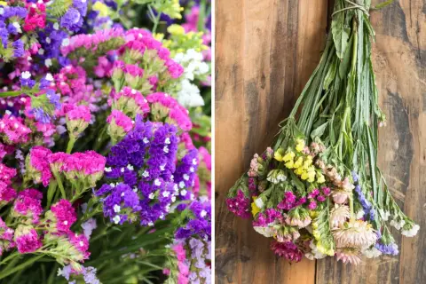 Kolorowe bukiety limonium w odcieniach fioletu, różu i żółci. Jedna część ukazuje je w zbliżeniu, druga – związane i suszące się na drewnianym tle.
