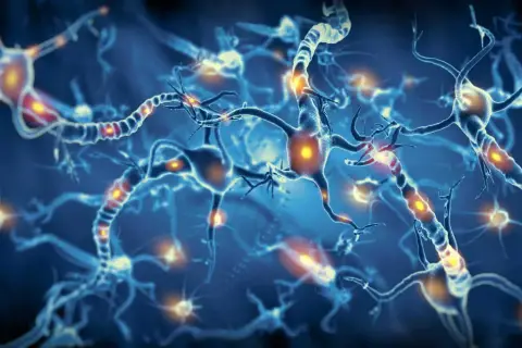 Sieć neuronów, gdzie impulsy elektryczne migoczą jak iskry. Czy to początek choroby świętego wita, czy tylko piękno biologii?