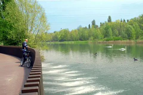 Ciclista ammira il fiume Mincio con cigni e anatre che nuotano placidamente tra la vegetazione lussureggiante.