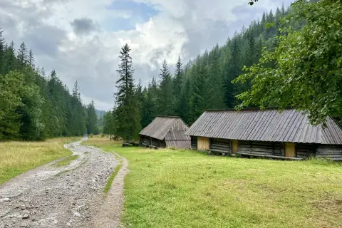 Kamienne ścieżki i drewniane chaty w Dolinie Jaworzynki, otoczone gęstym lasem świerkowym.