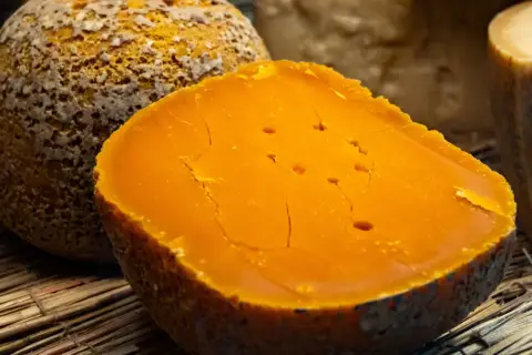Pomarańczowy ser di bufala z widocznymi pęknięciami i dziurkami, leżący na słomie obok innych serów.