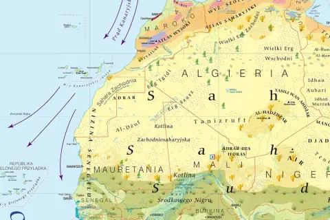 Afryka powierzchnia: pustynne krajobrazy Sahary Zachodniej, Algierii i Mauretanii z oazami i górami.