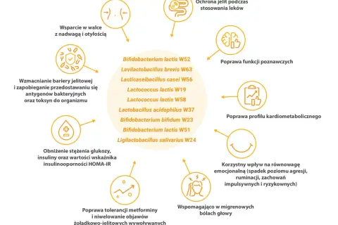 Sanprobi probiotyk wspiera walkę z nadwagą, wzmacnia barierę jelitową i poprawia funkcje poznawcze.
