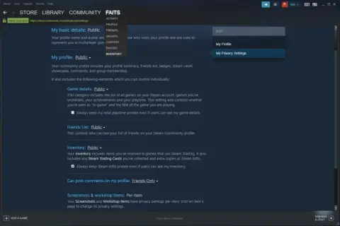 Ustawienia prywatności Steam. Dowiedz się, jak uzupełnić trade url, zarządzając widocznością swojego profilu, listy znajomych i ekwipunku.
