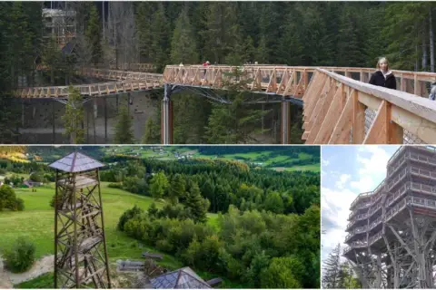 Drewniane wieże widokowe Małopolska w otoczeniu lasów i malowniczych krajobrazów. Spacer po koronach drzew i podziwianie panoramy.