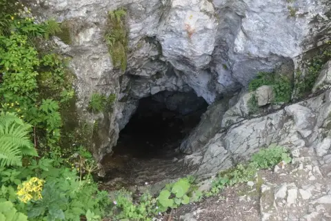 Wejście do Smoczej Jamy w Tatrach, skalne urwisko porośnięte zielenią, z widoczną łańcuchem ułatwiającym zejście.