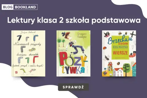 Trzy okładki książek dla dzieci: "Niesamowite przygody dziesięciu skarpetek", "Detektyw Pozytywka" i "Brzechwa dzieciom".