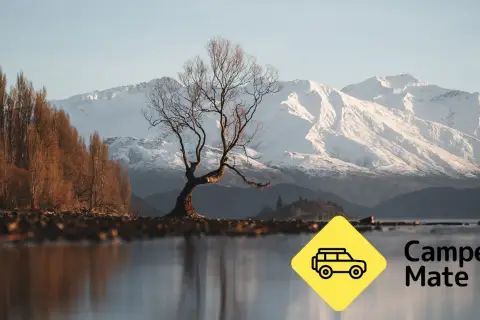 Zimowa Nowa Zelandia: samotne drzewo nad jeziorem, ośnieżone góry w tle. Obok żółty znak z kamperem i napis "Camper Mate".