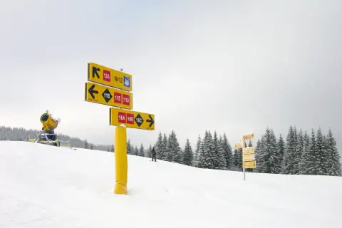 Na stoku narciarskim, wśród zasypanych śniegiem drzew, żółte tabliczki kierują narciarzy na różne trasy.