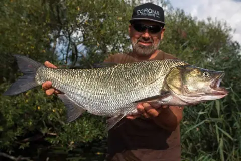 Marcowy spinning: Jakie ryby łowić i gdzie szukać? Poradnik
