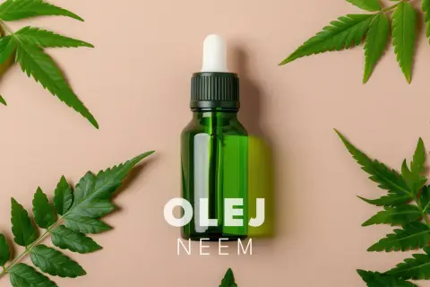 Olej neem na twarz jak stosować? Zobacz, jak naturalne składniki mogą odmienić Twoją skórę. Butelka z pipetą i liście drzewa neem.
