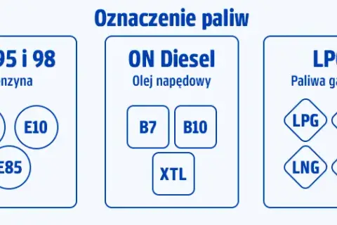 Diesel, ropa, benzyna: Czym się różnią i jak nie pomylić na stacji?
