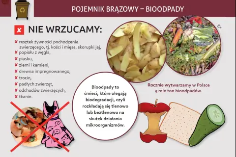 Co wrzucamy do brązowego pojemnika? Resztki jedzenia, obierki, warzywa, owoce. Unikaj popiołu, ziemi, tkanin.