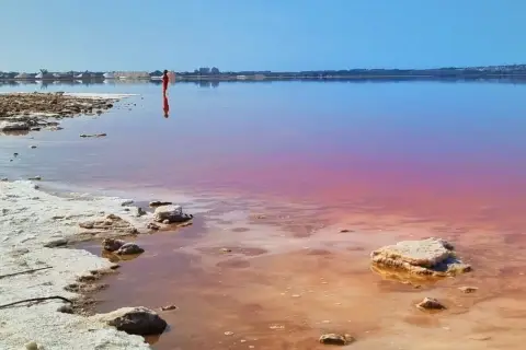 Alicante różowe jezioro zachwyca odcieniem. Samotna postać w czerwieni stoi w wodzie, odbijając się w jej tafli.