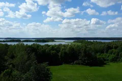 Malownicze jezioro i lasy na Suwalszczyźnie. Idealne miejsce na odkrywanie atrakcji regionu.