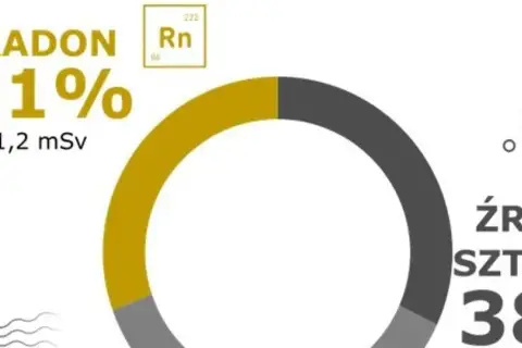 Radon stanowi 31% promieniowania (1,2 mSv). Źródła sztuczne to 38%.