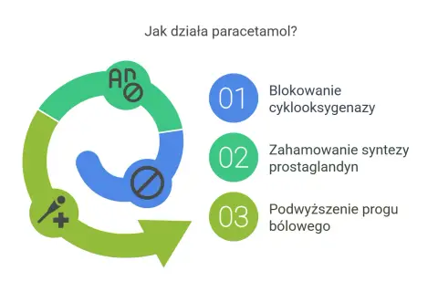 Schemat wyjaśnia, jak działa paracetamol: blokuje cyklooksygenazę, hamuje syntezę prostaglandyn i podwyższa próg bólowy.