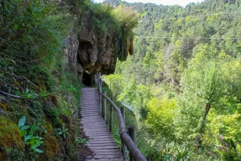 Pasarela de madera junto a un acantilado cubierto de vegetación, ideal para rutas senderismo Catalunya. Bosque frondoso al fondo.