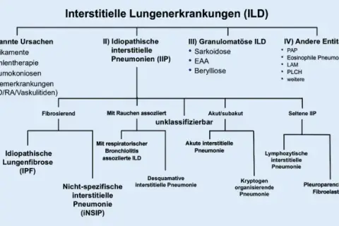 Lungenerkrankungen diagnostik: Wichtige Verfahren zur Früherkennung