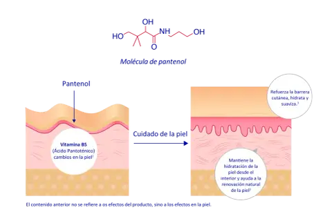 La molécula de pantenol (Vitamina B5) mejora el cuidado de la piel, reforzando su barrera, hidratando y suavizando.