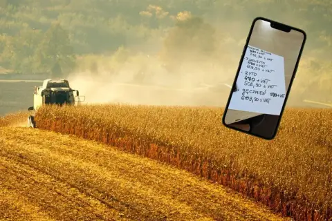 Żniwa kukurydzy w tle, na pierwszym planie smartfon z notatką o cenach zbóż: pszenica, pszenżyto, żyto, jęczmień. Ceny zbóż Woźniak.