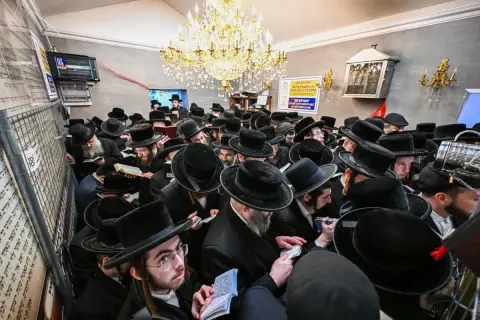 Tłum chasydów w czarnych kapeluszach i płaszczach, skupionych nad księgami, w sali ozdobionej żyrandolem.