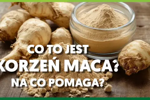Korzeń maca i jego proszek na drewnianym blacie. Dowiedz się, co to jest korzeń maca i na co pomaga.
