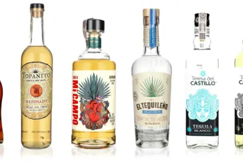Różnorodne butelki tequili, w tym te z agawy, prezentują bogactwo smaków i stylów tego meksykańskiego trunku.