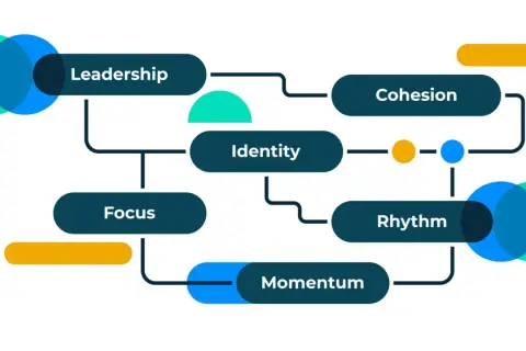 Diagram showing key elements for how to improve an organization's performance: Leadership, Focus, Identity, Cohesion, Rhythm, and Momentum.
