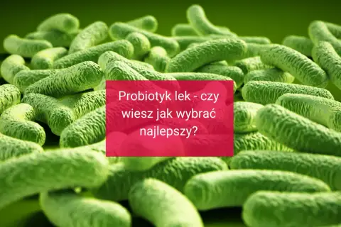 Probiotyk lek - czy wiesz jak wybrać najlepszy? Obraz przedstawia bakterie probiotyczne.