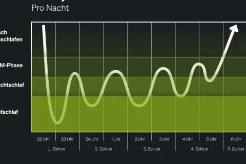Schlafrhythmus: Tiefschlaf, Leichtschlaf, REM-Phase. 6 Stunden Schlaf pro Nacht sind oft nicht ausreichend für optimale Erholung.