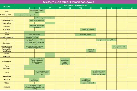 Kalendarz cięcia drzew owocowych: Agrest, Aronia, Jabłoń, Śliwa – kiedy najlepiej przycinać.