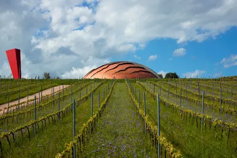 Vigneti in pendenza sotto un cielo nuvoloso, con un edificio a forma di cupola che ricorda il carapace di un animale e un obelisco rosso.
