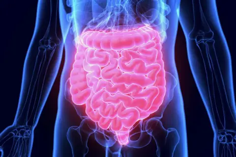 Anatomical illustration of the human digestive system, highlighting the intestines in pink against a blue skeletal outline.